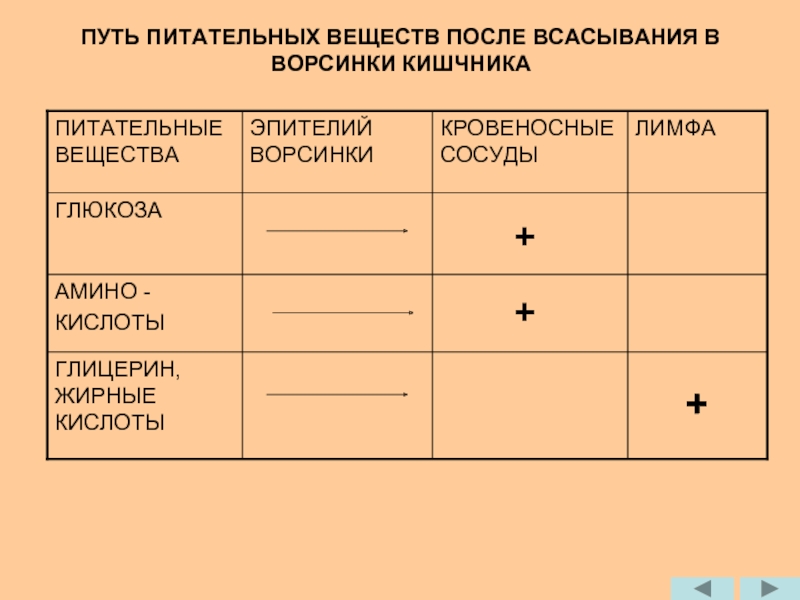 Таблица пищеварение в кишечнике всасывание питательных веществ