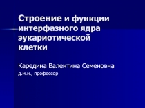 Строение интерфазного ядра