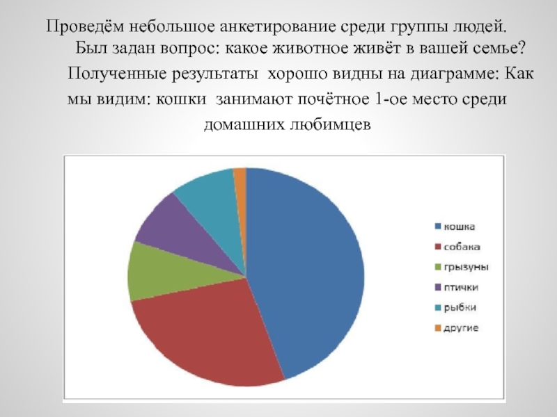 Диаграмма на тему кошки