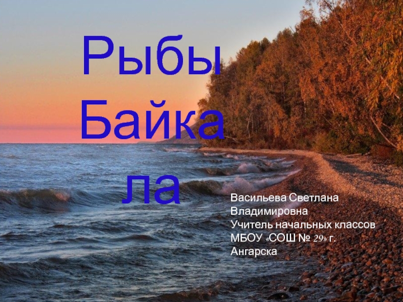 Презентация Рыбы Байкала 3 класс