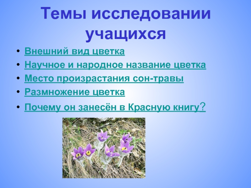 Исчезающие растения казахстана. Народные названия растений. Сон-трава красная книга. Растения красной книги Казахстана. Сон трава размножение.