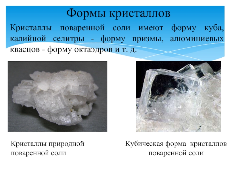 Формы кристалловКристаллы поваренной соли имеют форму куба, калийной селитры - форму призмы, алюминиевых квасцов - форму