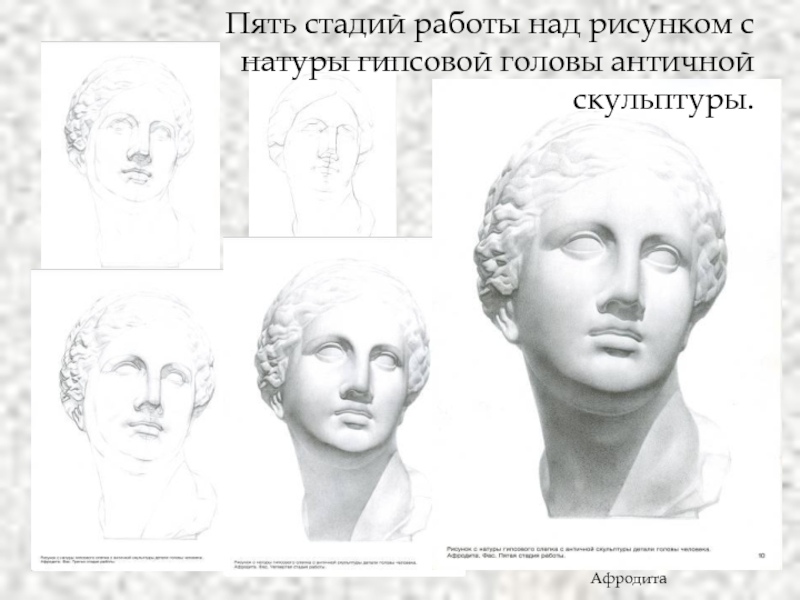 Пять стадий работы над рисунком с натуры гипсовой головы античной скульптуры.Афродита
