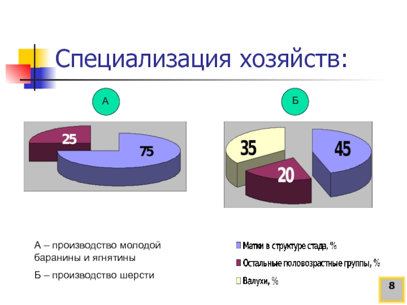 Специализация хозяйства