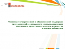Система государственной и общественной поддержки программ профессионального