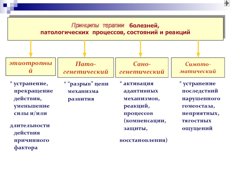 Основные нозологии