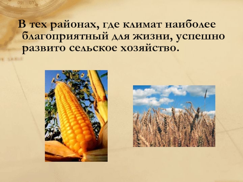 Как влияет климат на сельское хозяйство. Климат и сельское хозяйство. Влияние климата на сельское хозяйство. Влияние климатических условий на сельское хозяйство. Влияние климата на Растениеводство.