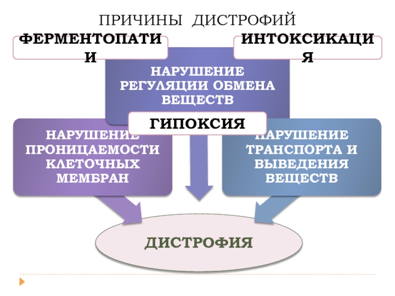 Презентация на тему дистрофия