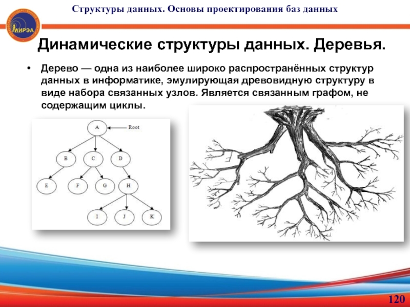 Древовидная схема это