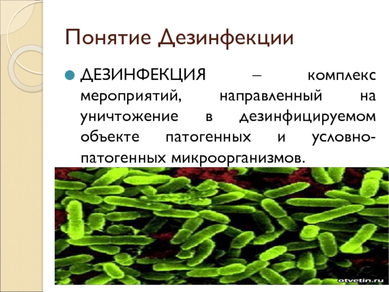 дезинфекция. дезинфекция - разное, презентация, доклад, проект на тему. дезинфекция, разное, презентация, доклад, проект