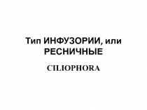 Тип ИНФУЗОРИИ, или РЕСНИЧНЫЕ CILIOPHORA