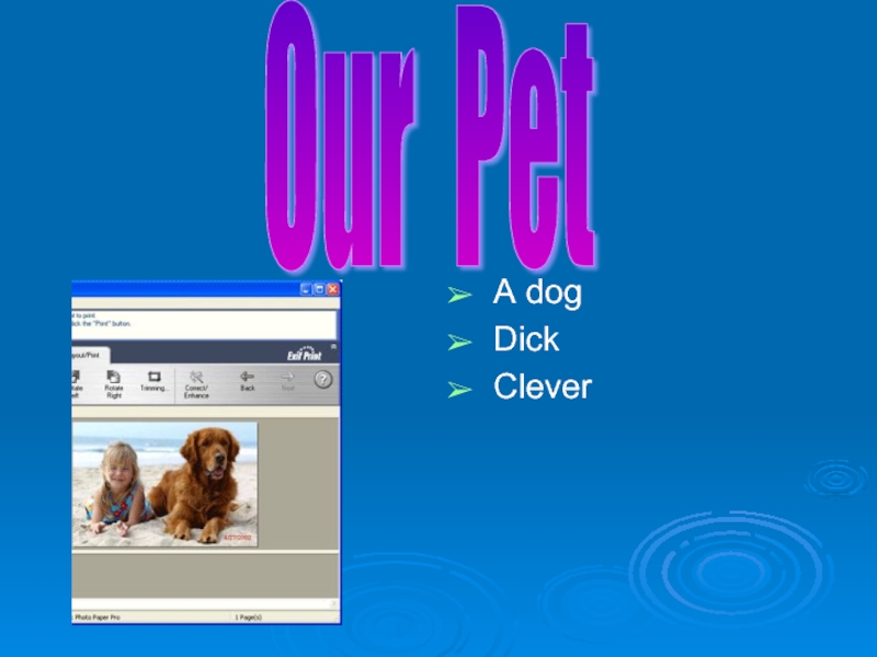 A dogDickCleverOur Pet