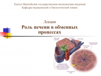 Ханты-Мансийская государственная медицинская академия Кафедра медицинской и