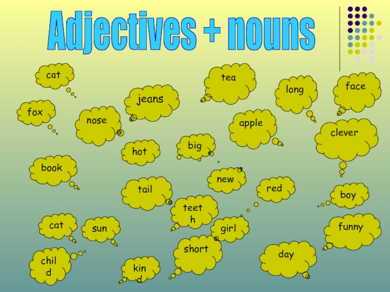 Adjectives + nounsshortgirlfaceredboyfunnycatnosebigjeanstailfoxbookkindnewtealongteethsuncatchildappledayhotclever
