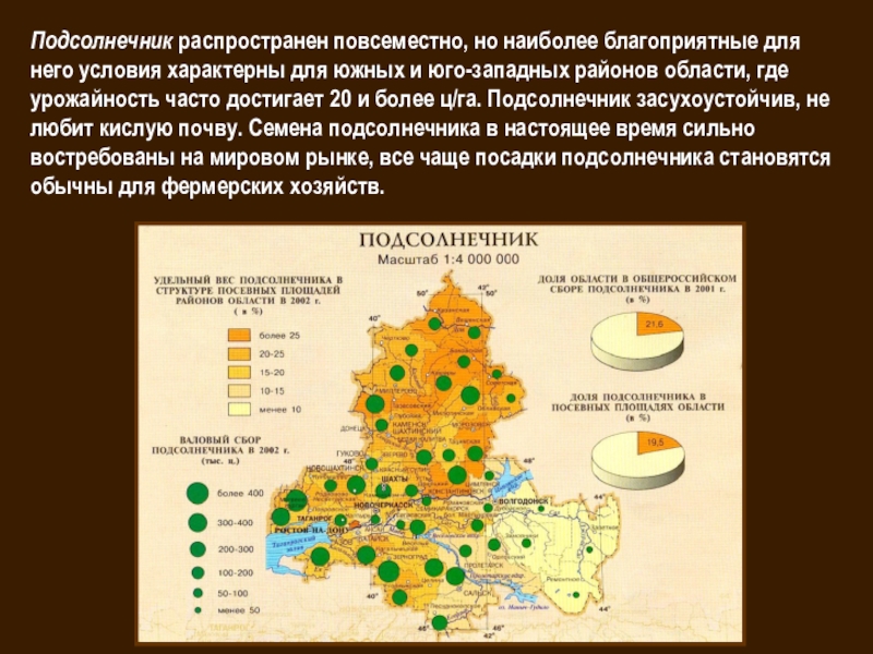 Ростовская область хозяйства. Отрасли хозяйства Ростовской области. Сельское хозяйство Ростовской области карта. Специализация растениеводства Ростовской области. Сельское хозяйство Ростовской области доклад.