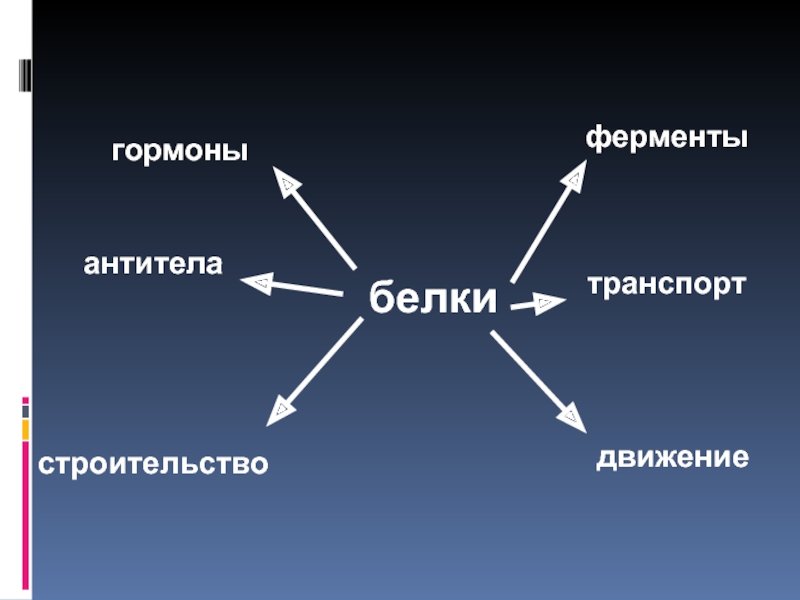 Гормоны ферменты таблица. Белки ферменты. Гормоны и ферменты. Ферменты гормоны антитела уровень организации. Ферменты и гормоны строение.