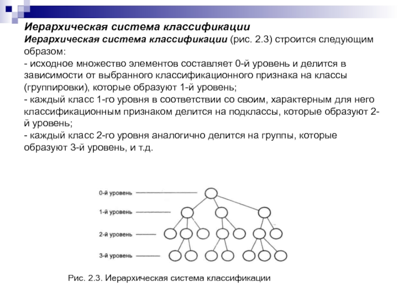 Иерархическая классификация. Иерархическая система классификации. Иерархический принцип классификации.. Достоинства иерархической системы классификации. Таблица иерархической классификации.