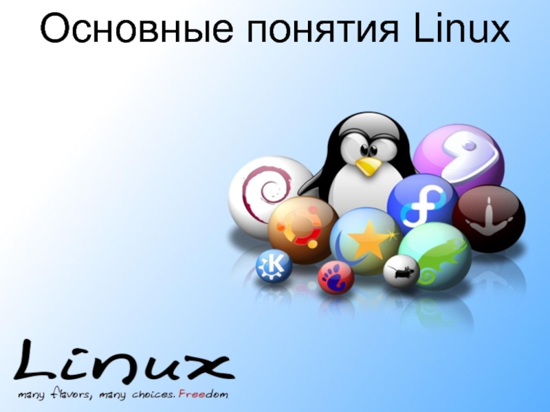 Основные понятия Linux 11 класс