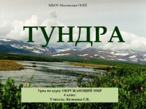 Тундра