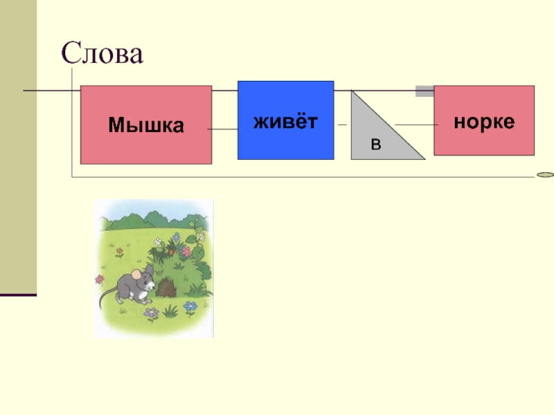 Слово мышь схема