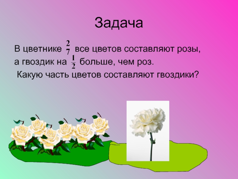 Задачи про розу. Задача про клумбу. Задачи цветника. Задача по математике 3 класса про розы и гвоздики. Части цветка.