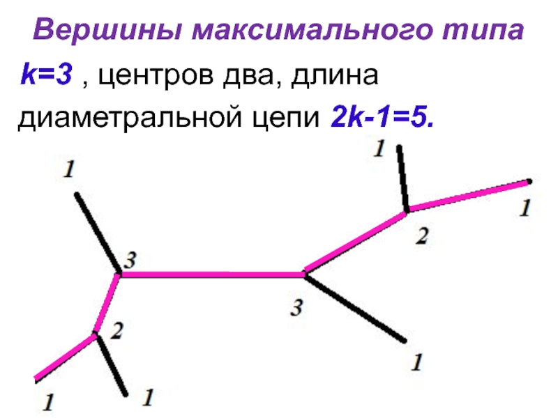 Виды макс