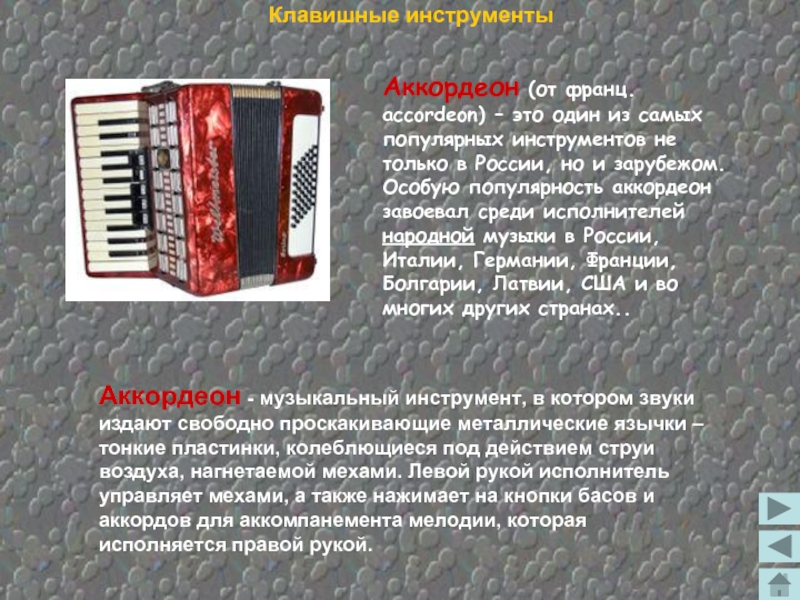 Проект про аккордеон