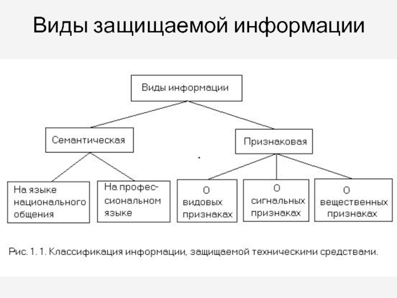 Что относится к информации. Виды защищаемой информации таблица. Схема видов защищаемой информации. Виды информации семантическая и признаковая. 1. Виды защищаемой информации..