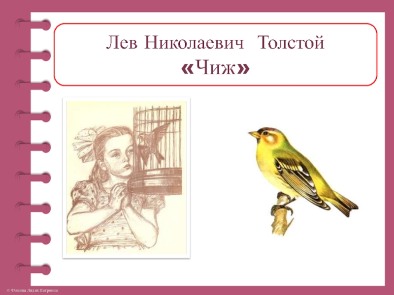 Л Н толстой Чиж. «У Вари был Чиж» л.н. толстой. Рассказ л н Толстого Варя и Чиж.