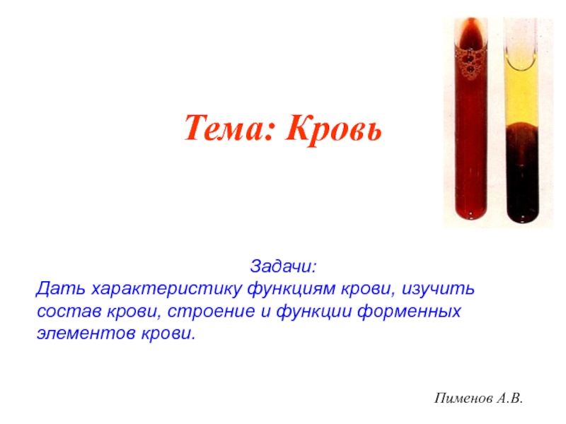 Тема: Кровь
Пименов А.В.
Задачи:
Дать характеристику функциям крови, изучить