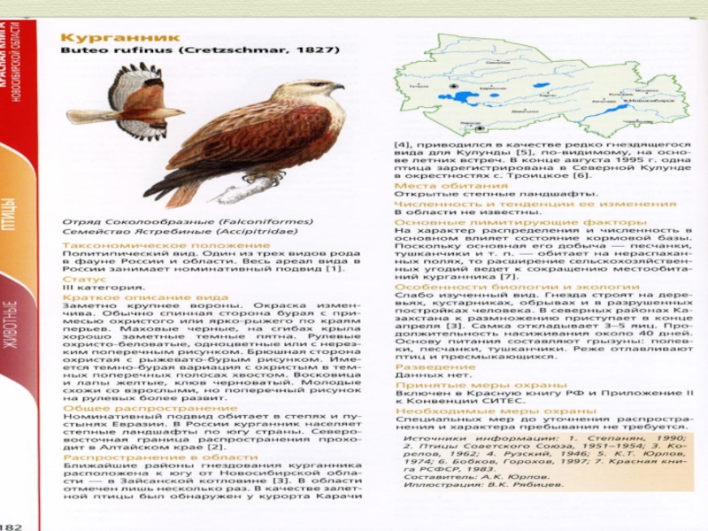 Красная книга нсо презентация