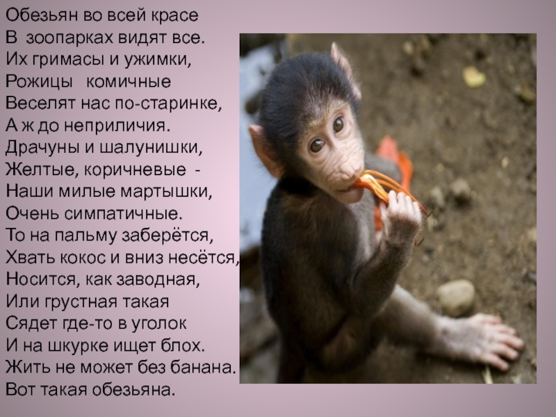 Какие слова помогают представить обезьянку