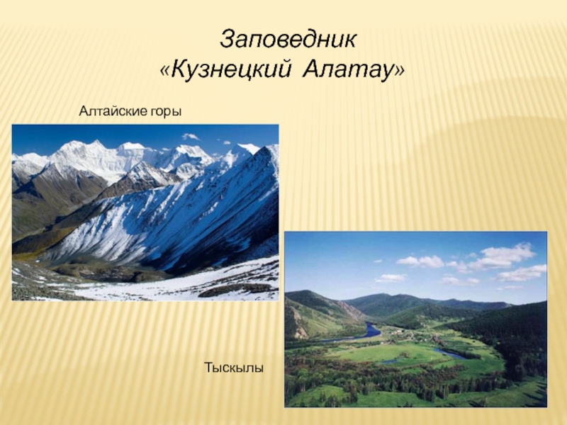 Заповедники кемеровской области презентация