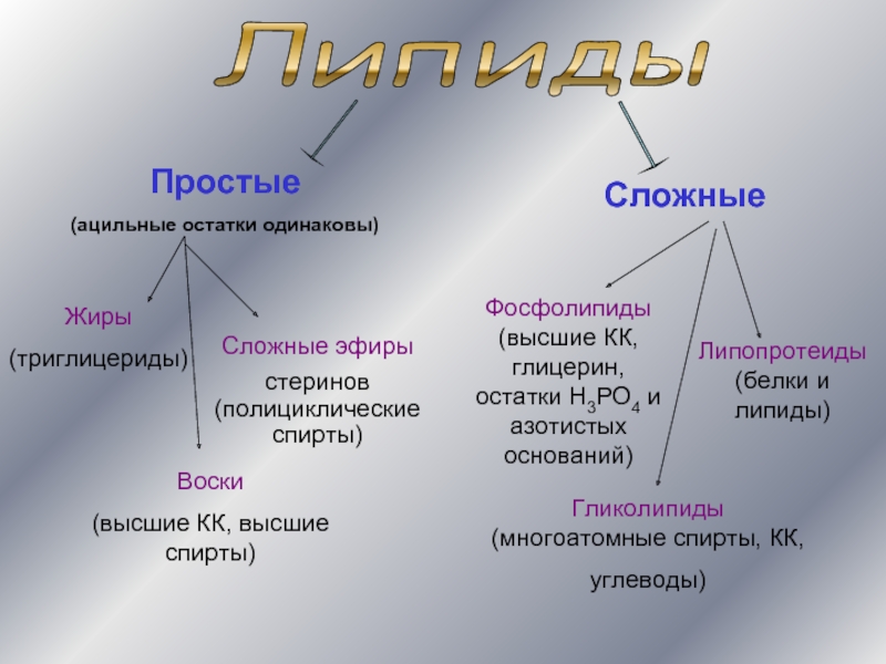 Виды жиров. Триглицериды фосфолипиды стероиды воски. Классификация липидов. Классификация липидов таблица. Липиды классификация и функции.