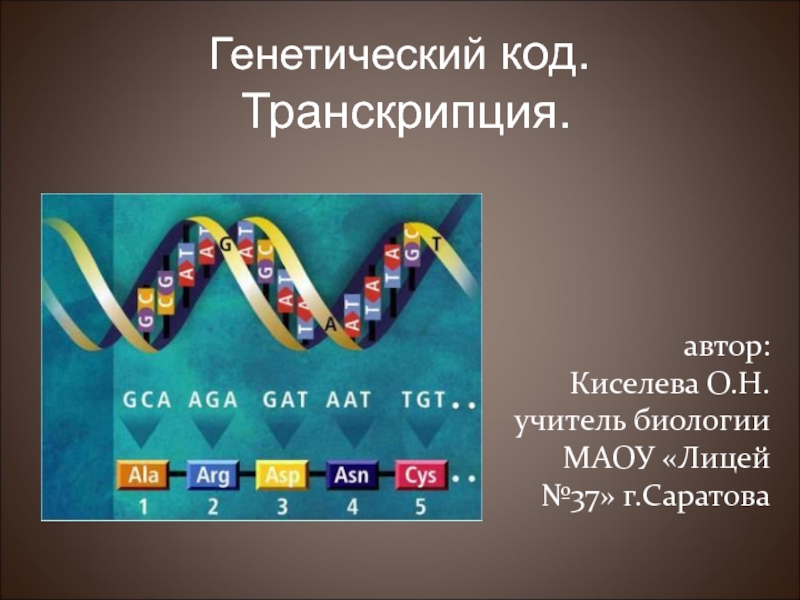 Презентация Генетический код. Транскрипция.