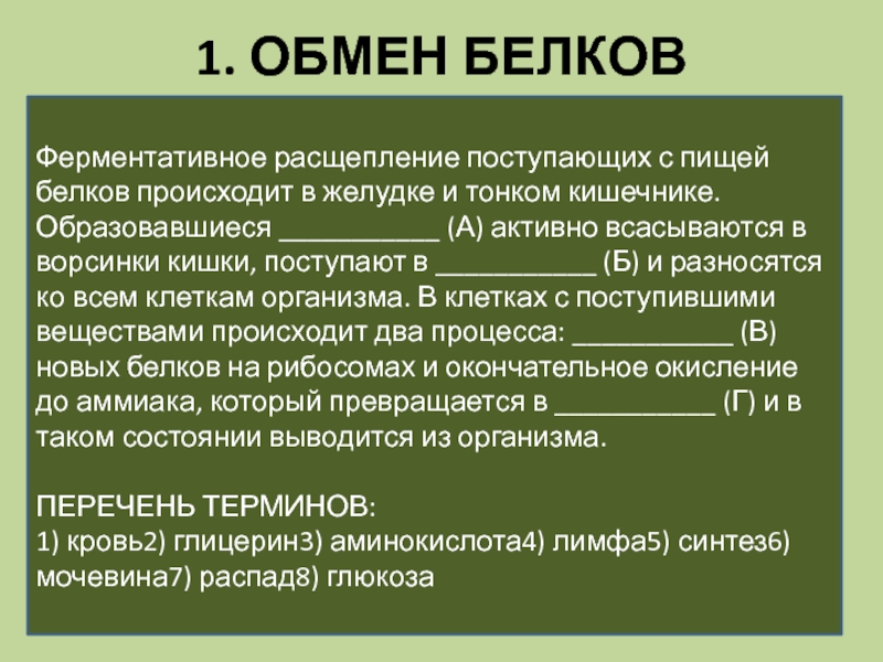 1. ОБМЕН БЕЛКОВ
