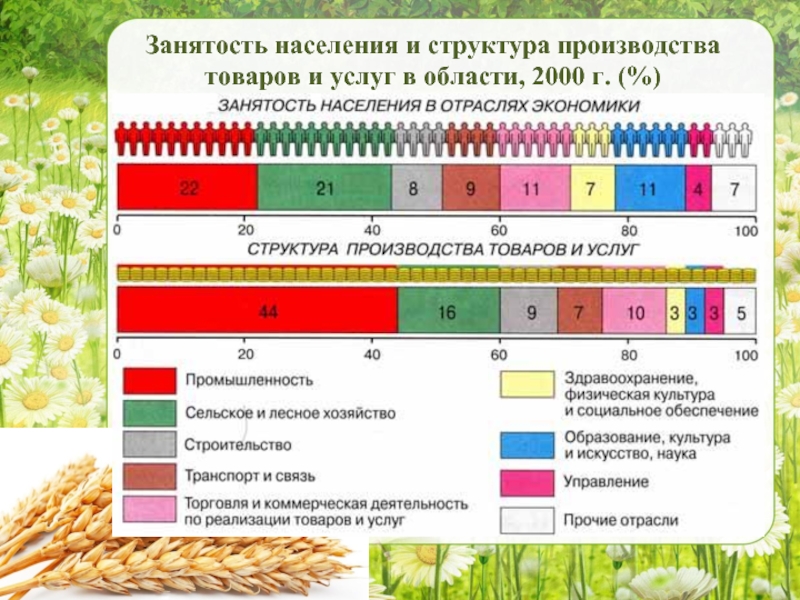 Сельское хозяйство география 9 класс