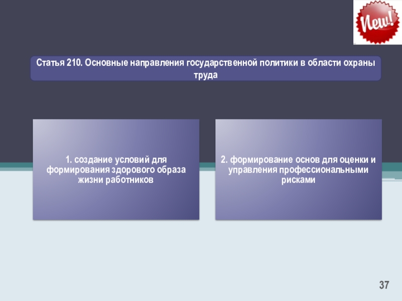 Стать 210. Основные направления государственной политики в области охраны. Основные направления государственной политики в области охраны труд. Основные направления гос политики в области охраны труда. Основные направления государственной политики в охране труда.