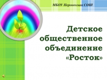 Презентация: Детское общественное объединение и его деятельность