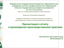 Презентация к отчету
о прохождении производственной практики
Федеральное