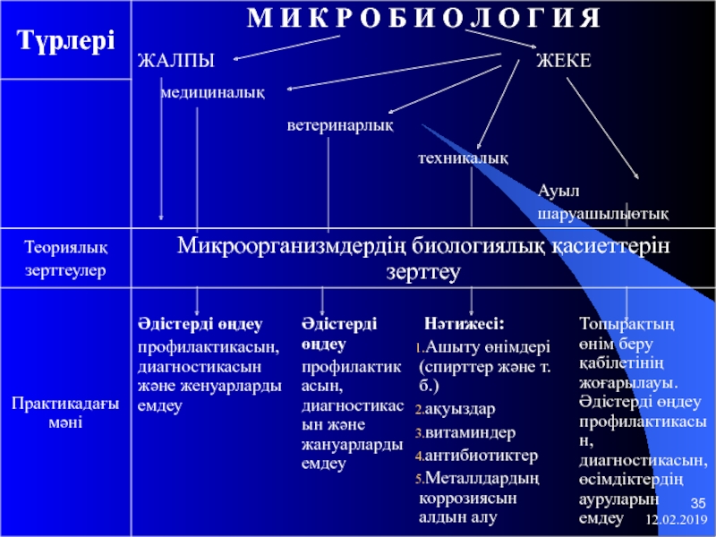 План по микробиологии