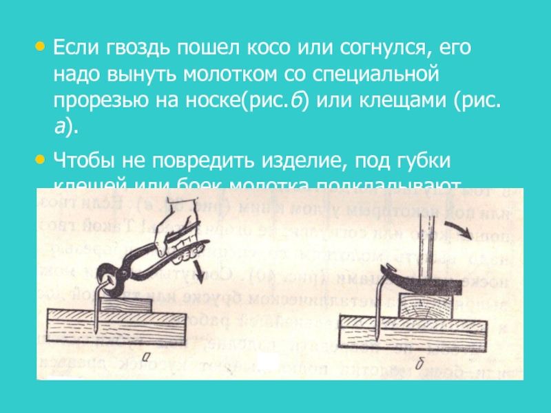 Надо вытащить. Клещами вытаскивают гвоздь. Клещами вынуть гвоздь. Почему шурупы нельзя забивать молотком. Можно ли забить шуруп молотком.