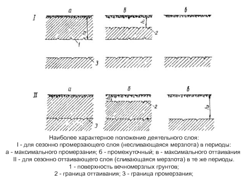 Деятельный слой. Деятельный слой грунта. Строение толщи многолетнемерзлого грунта. Мерзлота несливающегося типа.