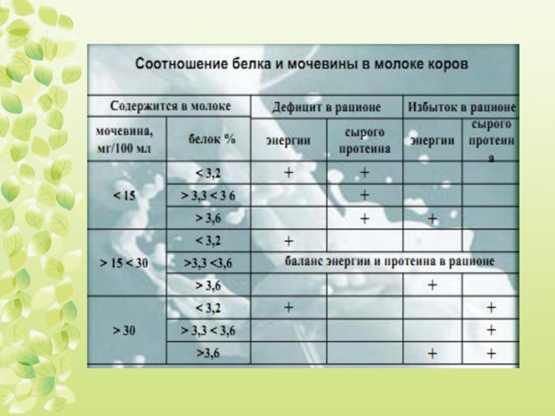 Сколько белка в молоке. Нормы содержания мочевины в молоке. Уровень мочевины в молоке коровы. Норма мочевины в коровьем молоке. Норма белка в молоке.