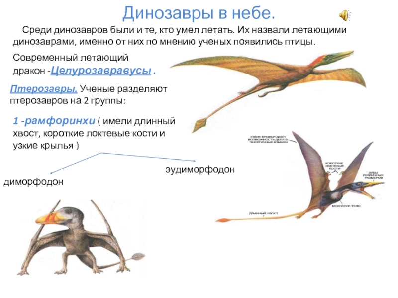 Динозавры в небе.  Среди динозавров были и те, кто умел летать. Их назвали летающими динозаврами, именно