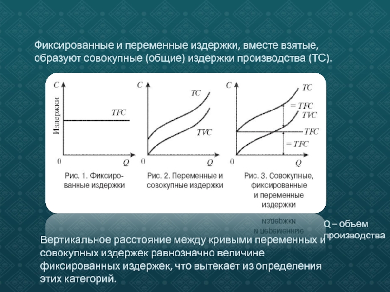 Виды издержек в краткосрочном периоде план егэ обществознание