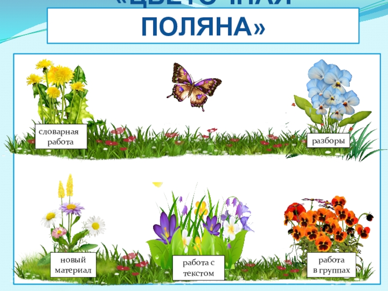 работа с текстомработа в группахсловарная работановый материалразборы«цветочная поляна»
