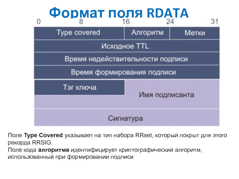 Формат поля телефон