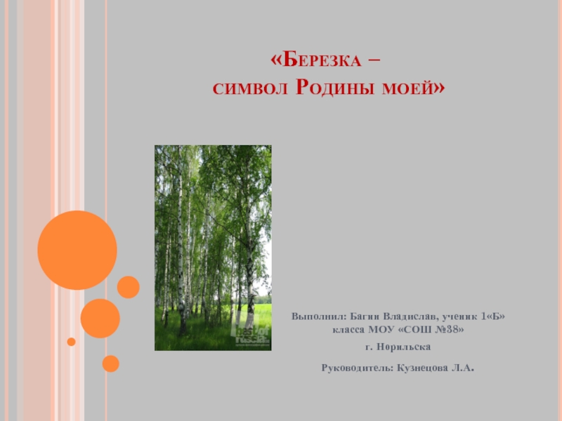 Символ родины. Береза символ Родины моей. Символы моей Родины. Берёза символ Родины моей проект. Образы символы Родины.