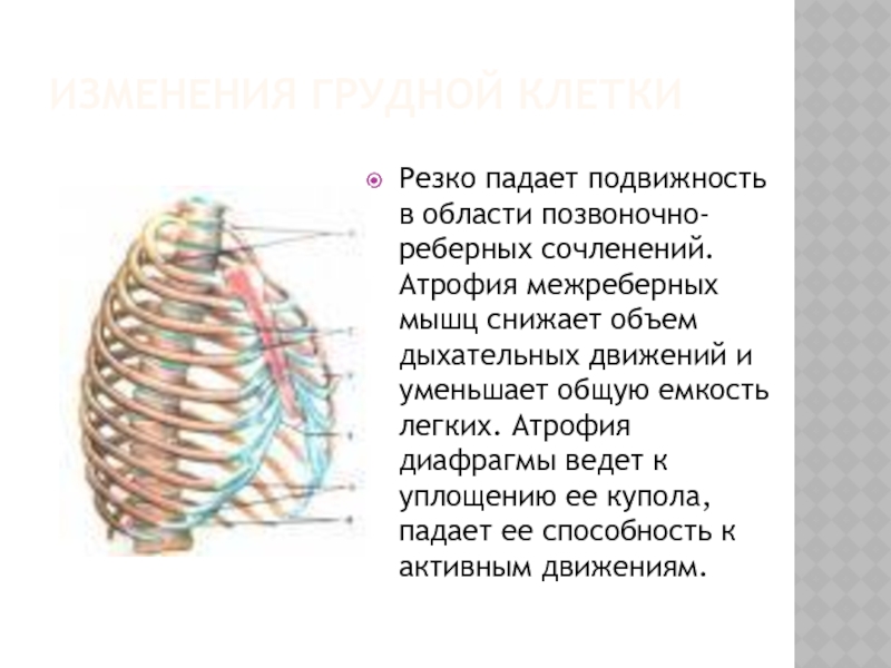 Изменения грудной